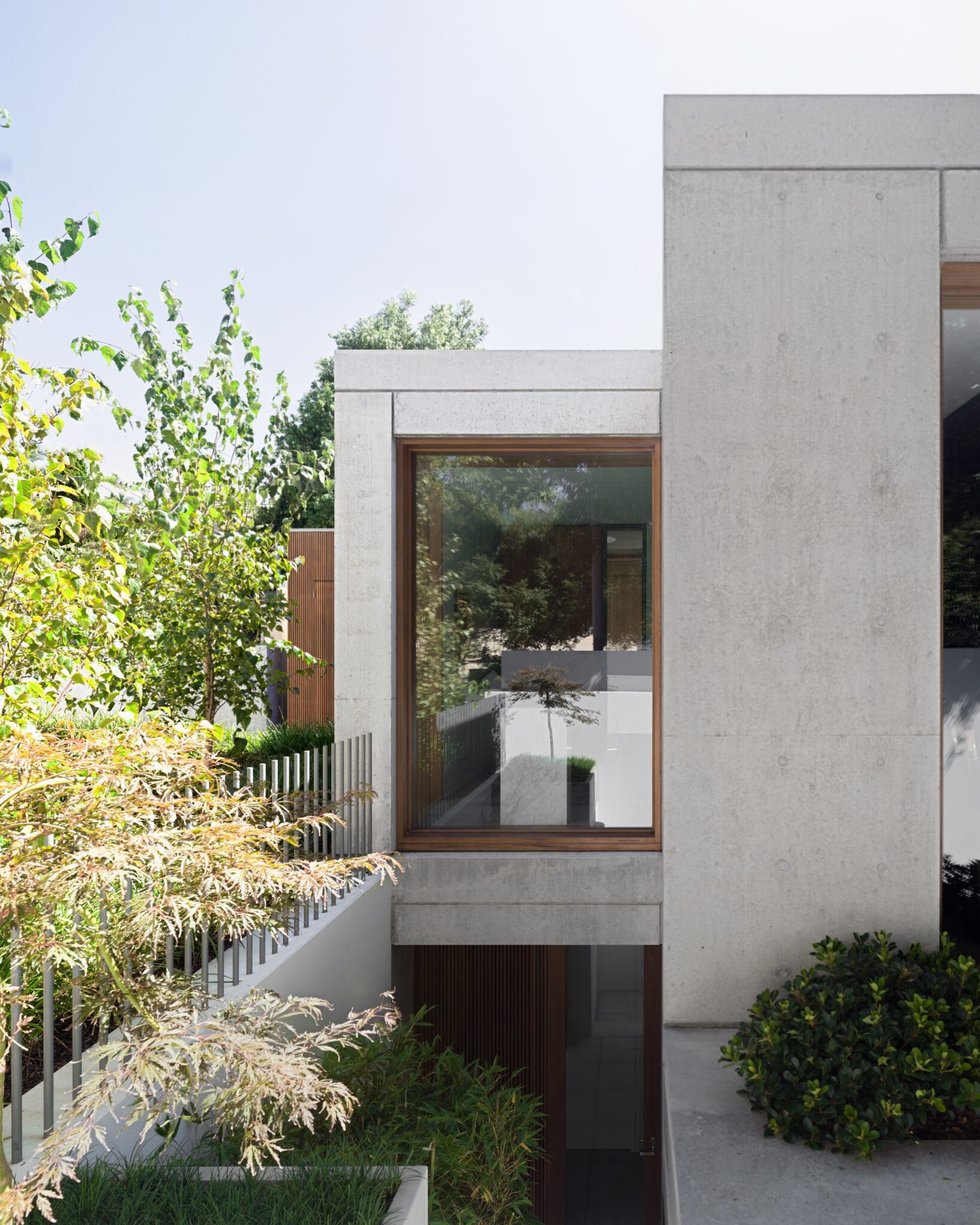 Treetops House, Woollahra_Tobias Partners_Concrete